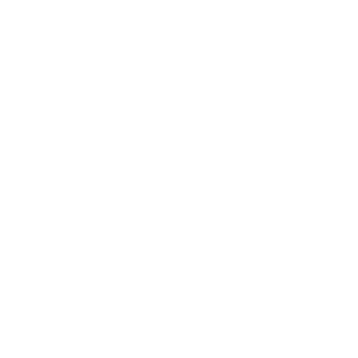 Vision 
